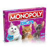 Monopoly -  Chats